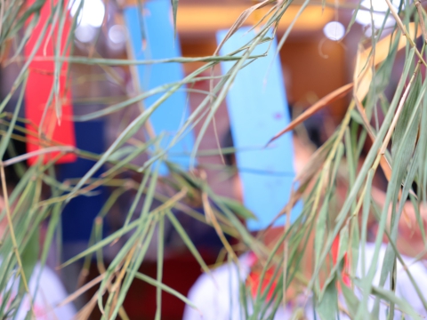 HỌC VIÊN TRUNG TÂM ĐỒNG NAI HƯỞNG ỨNG LỄ HỘI SENDAI TANABATA  🎋
