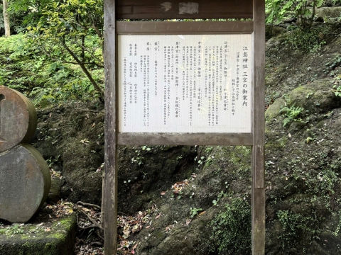 CHUYẾN ĐI GẶP GỠ ĐỐI TÁC VÀ THĂM HỌC VIÊN TRUNG TÂM ĐỒNG NAI TẠI NHẬT BẢN