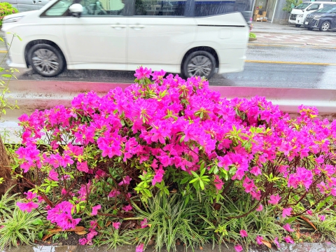 CHUYẾN ĐI GẶP GỠ ĐỐI TÁC VÀ THĂM HỌC VIÊN TRUNG TÂM ĐỒNG NAI TẠI NHẬT BẢN